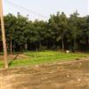 Ӧ޻ֱ10-18 ӭʱֳ