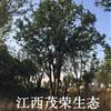 20鱨\20ͼƬչʾ