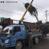 点击查看大图