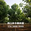 点击查看大图