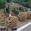 点击查看大图