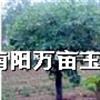 깩ӦǷ磬죬ףϣ
