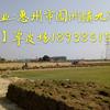 ݸݣڲƤزƤӦ.԰ֵر̨Ƥ