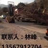 点击查看大图
