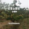 点击查看大图
