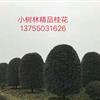 Ʒ鱨\ƷͼƬչʾ