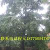101213ֶǮ