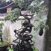 点击查看大图