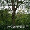 1-25޻ͼƬ/1-25޻ӱ