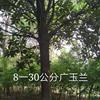 8-30ֹ//;