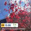輧 h80_150_200ձ  