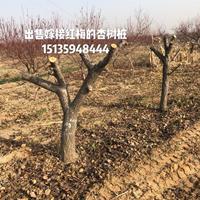 点击查看大图