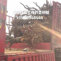 点击查看大图