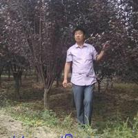 点击查看大图