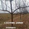 点击查看大图