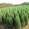 괨ľ800׸۸20191׸繩Ӧ