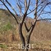 Ӧ150