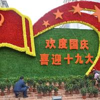 点击查看大图