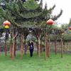 点击查看大图