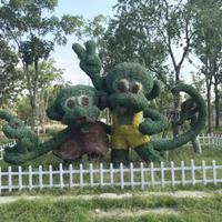 点击查看大图