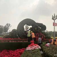 点击查看大图