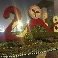 点击查看大图