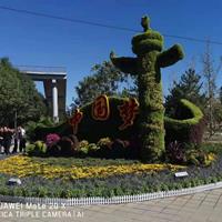 点击查看大图