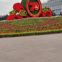 点击查看大图