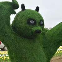 点击查看大图
