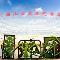 点击查看大图