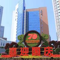 点击查看大图