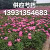 点击查看大图