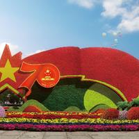 点击查看大图