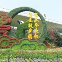 点击查看大图