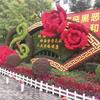 点击查看大图