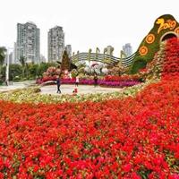 点击查看大图