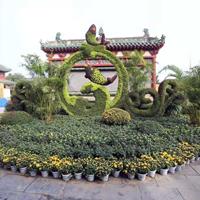 点击查看大图