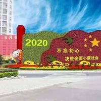 点击查看大图