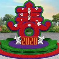 点击查看大图