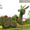 点击查看大图