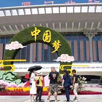 点击查看大图
