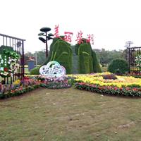 点击查看大图