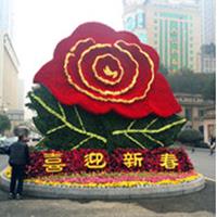 点击查看大图