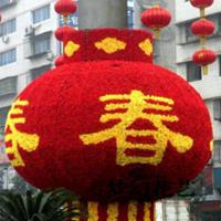 点击查看大图