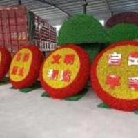 点击查看大图