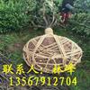 点击查看大图