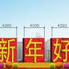 点击查看大图