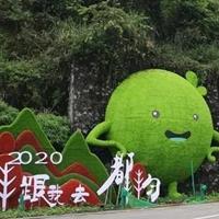 点击查看大图