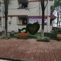 点击查看大图