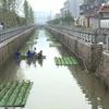 人工生态浮岛_荷花种苗哪里有卖_河道景观绿化设计